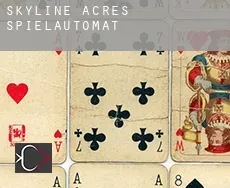 Skyline Acres  Spielautomat