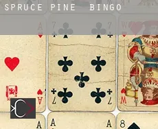 Spruce Pine Bingo