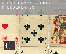 Susquehanna County  Pferderennen
