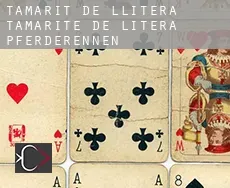 Tamarit de Llitera Pferderennen