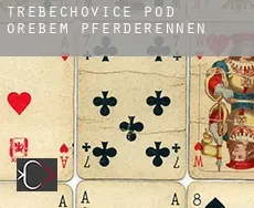 Třebechovice pod Orebem  Pferderennen