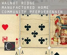 Walnut Ridge Manufactured Home Community  Pferderennen