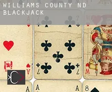 Williams County  Blackjack