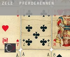 Zelz  Pferderennen