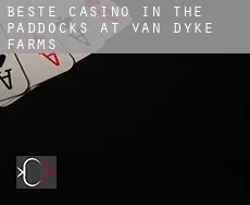 Beste Casino in  The Paddocks at Van Dyke Farms