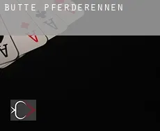 Butte Pferderennen
