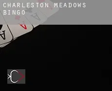 Charleston Meadows  Bingo