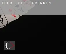 Echo  Pferderennen