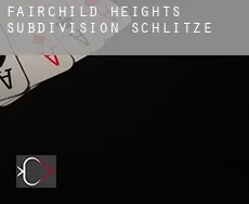 Fairchild Heights Subdivision  Schlitze