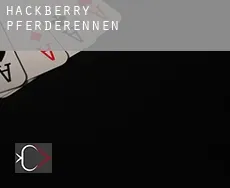 Hackberry  Pferderennen