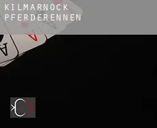 Kilmarnock  Pferderennen