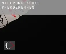 Millpond Acres  Pferderennen