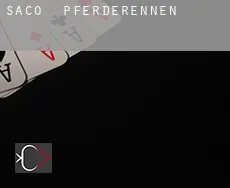 Saco  Pferderennen