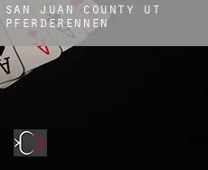 San Juan County  Pferderennen