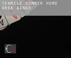 Tenmile Summer Home Area  Bingo