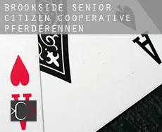 Brookside Senior Citizen Cooperative Pferderennen