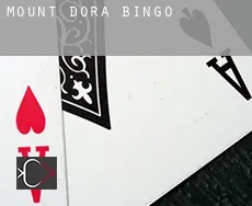 Mount Dora  Bingo
