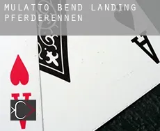 Mulatto Bend Landing  Pferderennen