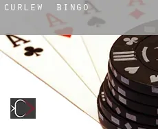 Curlew  Bingo