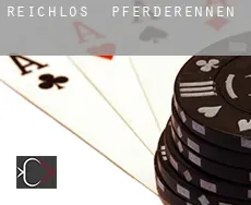 Reichlos Pferderennen