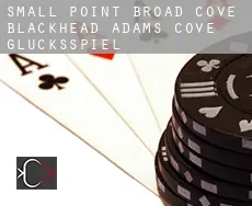 Small Point-Broad Cove-Blackhead-Adams Cove  Glücksspiel