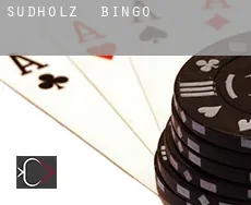 Sudholz Bingo