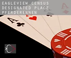 Eagleview  Pferderennen