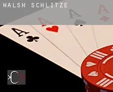 Walsh  Schlitze