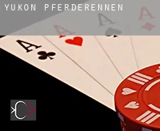 Yukon  Pferderennen