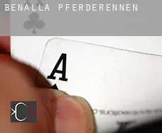 Benalla  Pferderennen