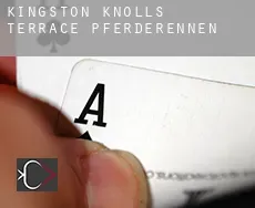 Kingston Knolls Terrace  Pferderennen
