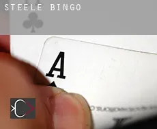 Steele  Bingo