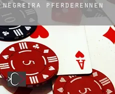 Negreira  Pferderennen