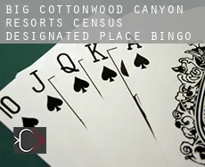 Big Cottonwood Canyon Resorts  Bingo