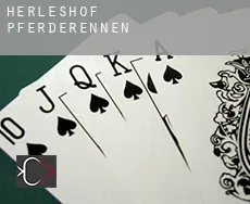 Herleshof  Pferderennen