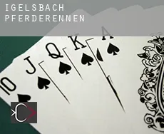 Igelsbach  Pferderennen