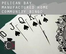 Pelican Bay Manufactured Home Community  Bingo