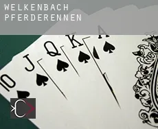 Welkenbach Pferderennen