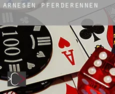 Arnesén  Pferderennen