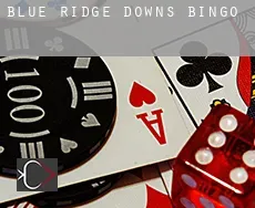 Blue Ridge Downs  Bingo