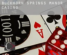 Buckhorn Springs Manor Casino