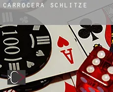 Carrocera  Schlitze