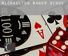 Michaelton Manor  Bingo