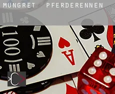 Mungret  Pferderennen