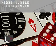 Webbs Jungle  Pferderennen
