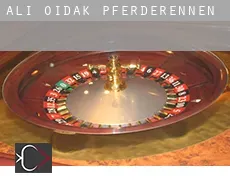 Ali Oidak  Pferderennen