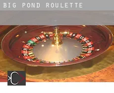 Big Pond  Roulette