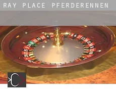 Ray Place  Pferderennen