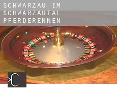 Schwarzau im Schwarzautal  Pferderennen