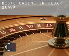 Beste Casino in  Cedar Grove